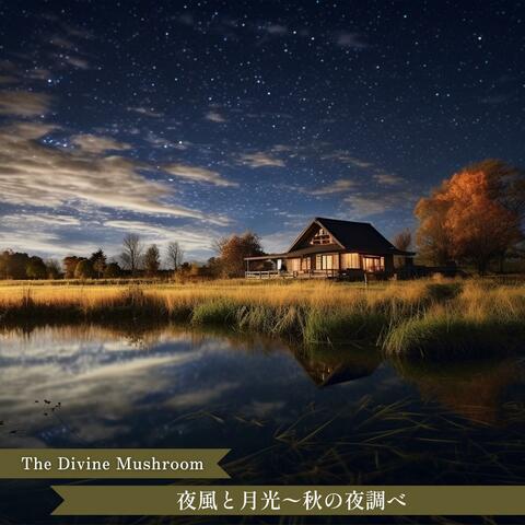 夜風と月光〜秋の夜調べ