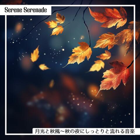 月光と秋風〜秋の夜にしっとりと流れる音楽