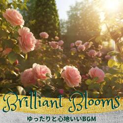 Greeting the Daylight