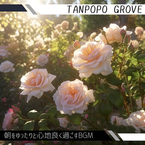 朝をゆったりと心地良く過ごすbgm