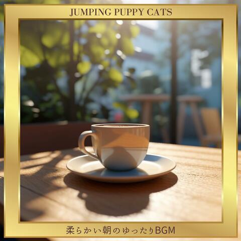 柔らかい朝のゆったりbgm