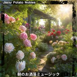 Quiet Town Morning Echoes