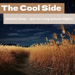 Cozy Autumn Night Sleep Jazz Interludes