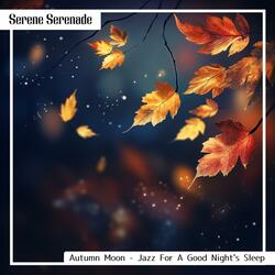 Night's Embrace in Silver