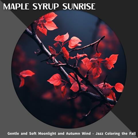 Gentle and Soft Moonlight and Autumn Wind-Jazz Coloring the Fall