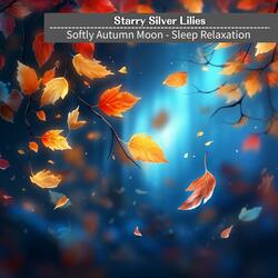 Lunar Grooves Chilled Wind