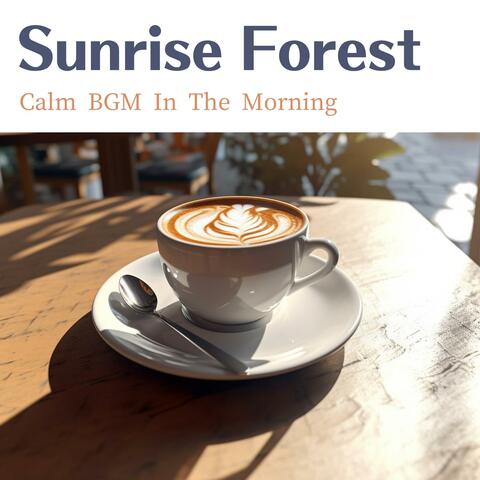 Calm Bgm in the Morning