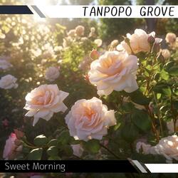 Renewed Day Gentle Touch