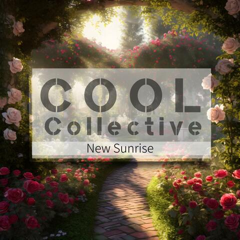 New Sunrise