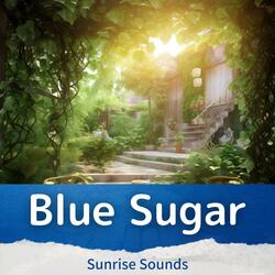 Golden Horizon Awakening