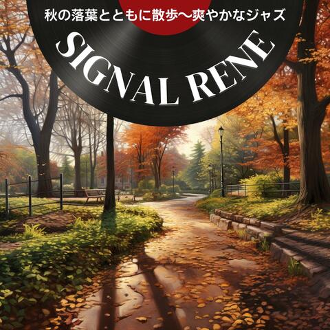 秋の落葉とともに散歩〜爽やかなジャズ