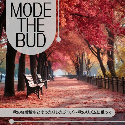 秋の紅葉散歩とゆったりしたジャズ〜秋のリズムに乗って
