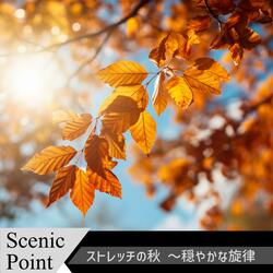 Serene Steps in a Golden Grove