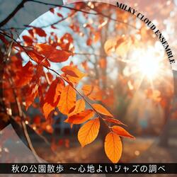 Streaming Through the Maple Trees