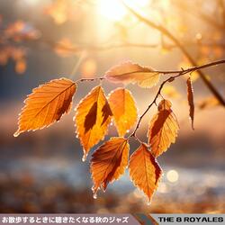 Sunlit Sequoia Scenery