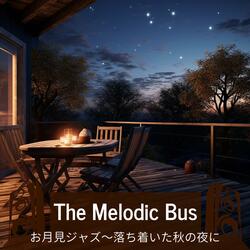 Starry Night Gentle Breeze