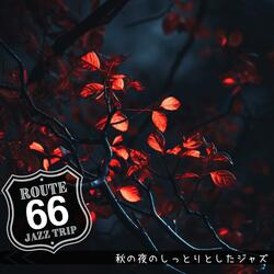 Starlight Moonlight Serenade