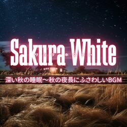 Dusky Nightfall Nuances