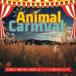 Dreamy Grooves of Fall Evening