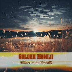Quiet Nightfall Melodies
