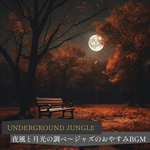 夜風と月光の調べ〜ジャズのおやすみbgm