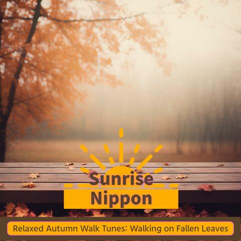 Relaxed Autumn Walk Tunes: Walking on Fallen Leaves