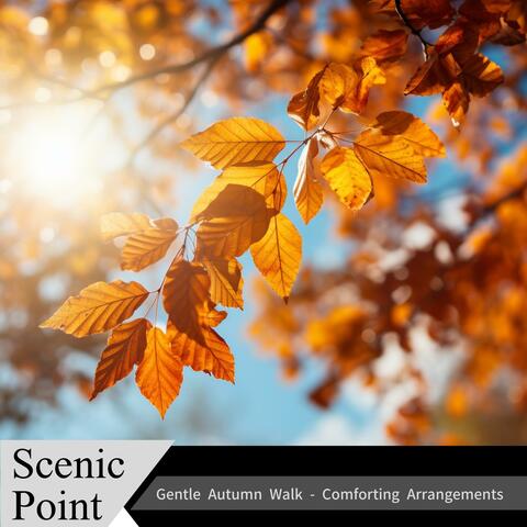 Gentle Autumn Walk-Comforting Arrangements