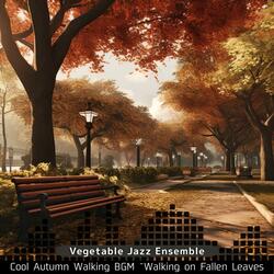 Basics of Bossa