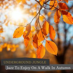 Walking in the Park Jazz in the Air