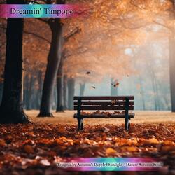 Hazy Trees Hazy Tunes