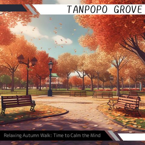 Relaxing Autumn Walk: Time to Calm the Mind