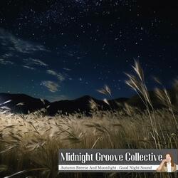 Vibrant Night Twinkling Stars