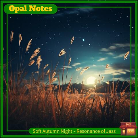 Soft Autumn Night-Resonance of Jazz