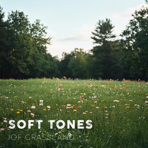 Soft Tones of Grassland
