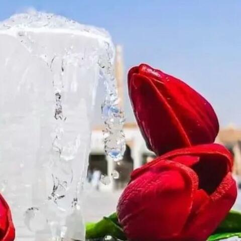 Zrah Me Tali Madine Ta