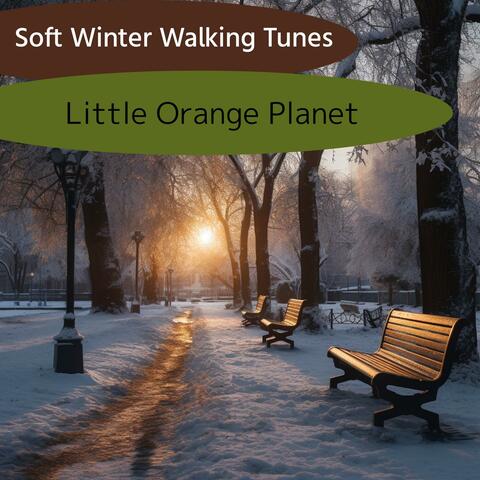Soft Winter Walking Tunes