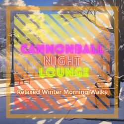 Winter's Gently Dripping Tears