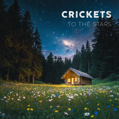 From Crickets to the Stars