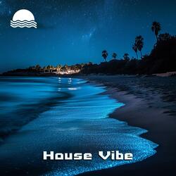 Vibrant Nights
