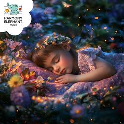 Soft Cradle of Night