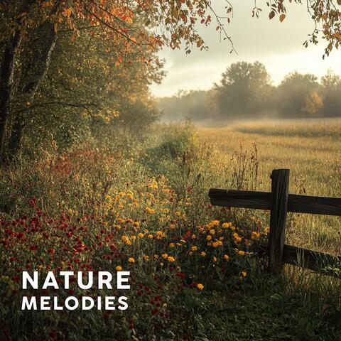 Tranquil Nature Melodies