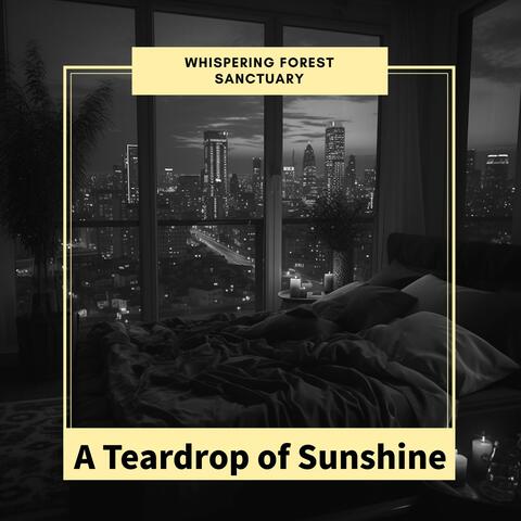 A Teardrop of Sunshine