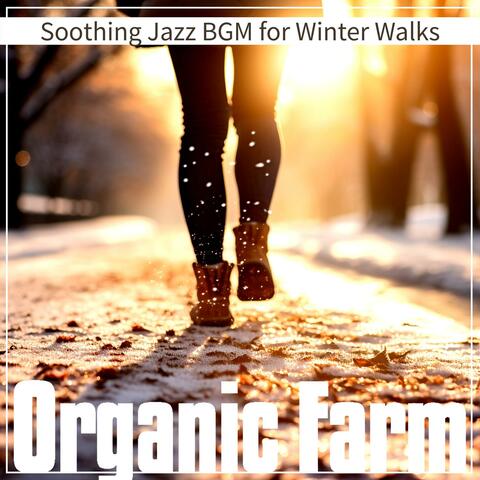 Soothing Jazz Bgm for Winter Walks