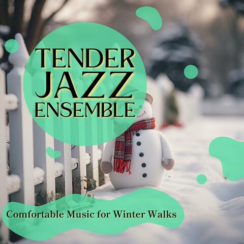 Comfortable Music for Winter Walks