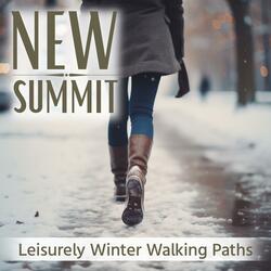 Wintry Night's Quietness