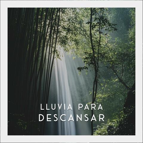 Viento de los Sueños