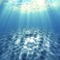 Sea of Tranquility