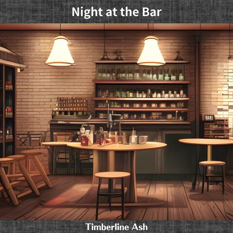 Night at the Bar