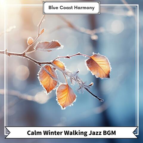 Calm Winter Walking Jazz Bgm