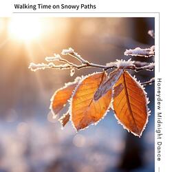 Moonlit Winter's Lullaby